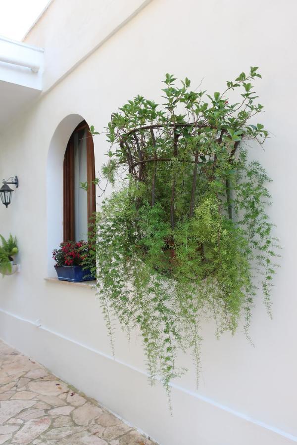 Il Trullo Del Cadetto Βίλα Francavilla Fontana Εξωτερικό φωτογραφία