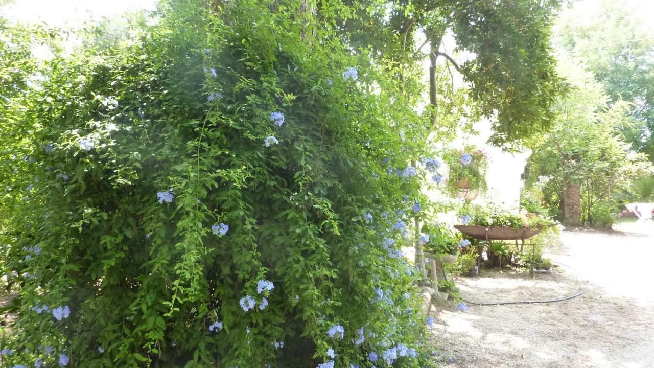 Il Trullo Del Cadetto Βίλα Francavilla Fontana Εξωτερικό φωτογραφία