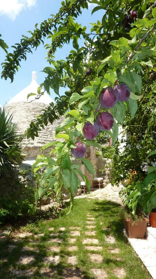 Il Trullo Del Cadetto Βίλα Francavilla Fontana Εξωτερικό φωτογραφία
