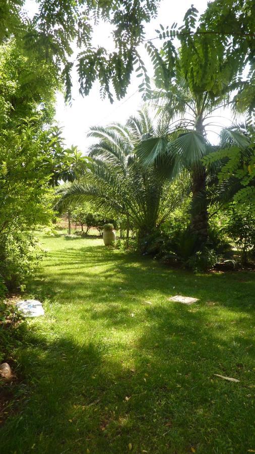 Il Trullo Del Cadetto Βίλα Francavilla Fontana Εξωτερικό φωτογραφία